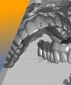 Advanced EXOCAD for all things AOX (EXOCAD AOX)